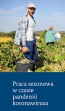 Obrazek dla: Pakiet informacyjny nt. zasad podejmowania pracy sezonowej (w rolnictwie) w Niemczech